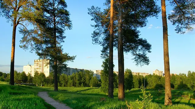 Чайковский — Краснокамск